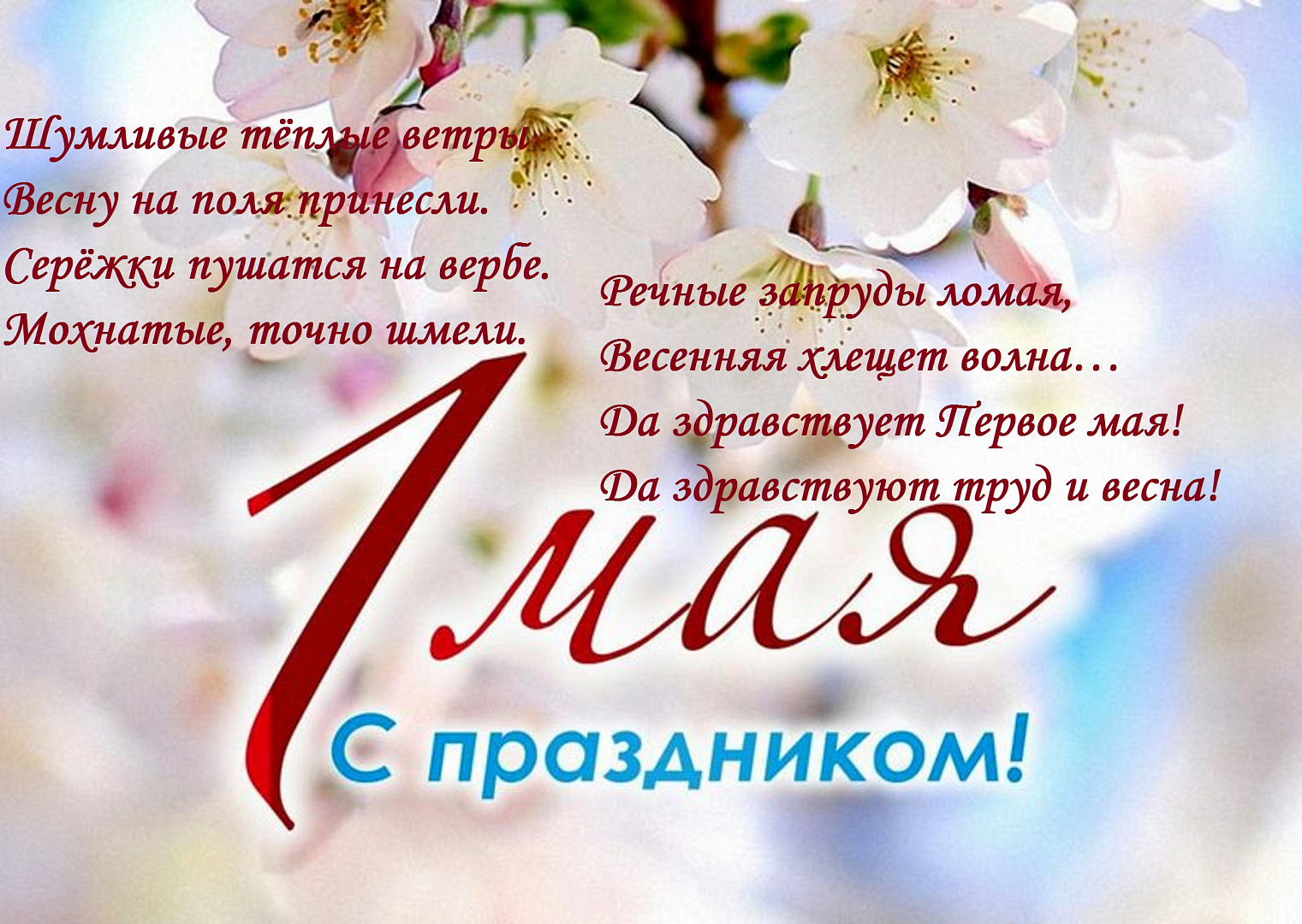 небритые мамы 
